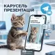 Карусели в Telegram: как новый формат фото и видео меняет каналы, мемы и контент