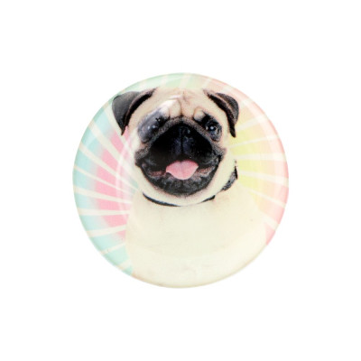 Тримач PopSocket Circle (Pug 11)