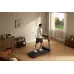 Бігова доріжка Xiaomi Kingsmith WalkingPad CLS460