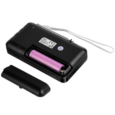 Портативное радио HI50 USB/TF/BT5.3 5W Черный