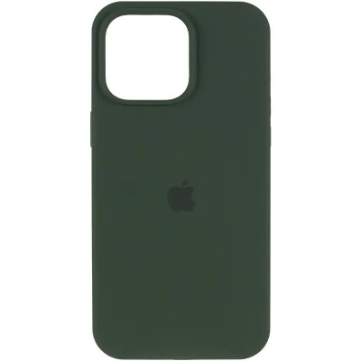 Чохол Накладка HC MagSafe Logo (AA) iPhone 13 Pro Зелена/Cyprus Green