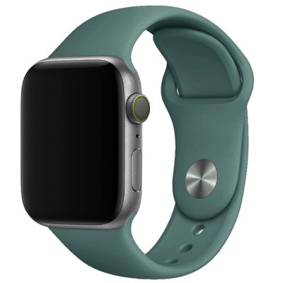 Ремінець Apple Watch 38мм Силікон Сосново-зелений