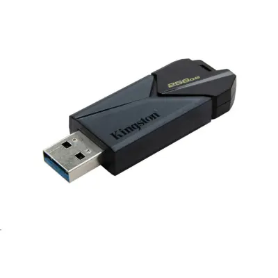 Флеш пам\'ять USB 256Gb Kingston Exodia Onyx 3.2 Black, Чорний