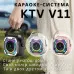 Портативное караоке колонка Bluetooth V11+2 микрофона Black, Черный